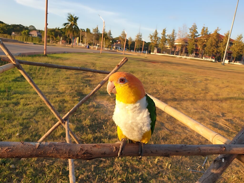 Marianinha no parque